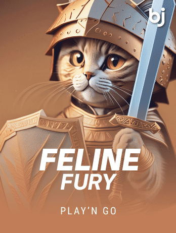 Feline Fury icon